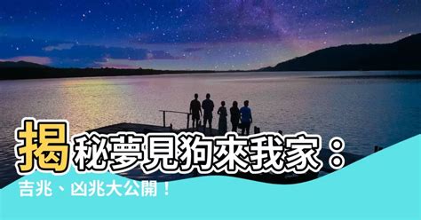 夢見狗來我家